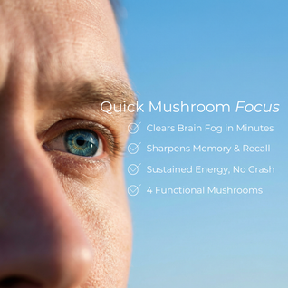 Focus & Cognition Thins